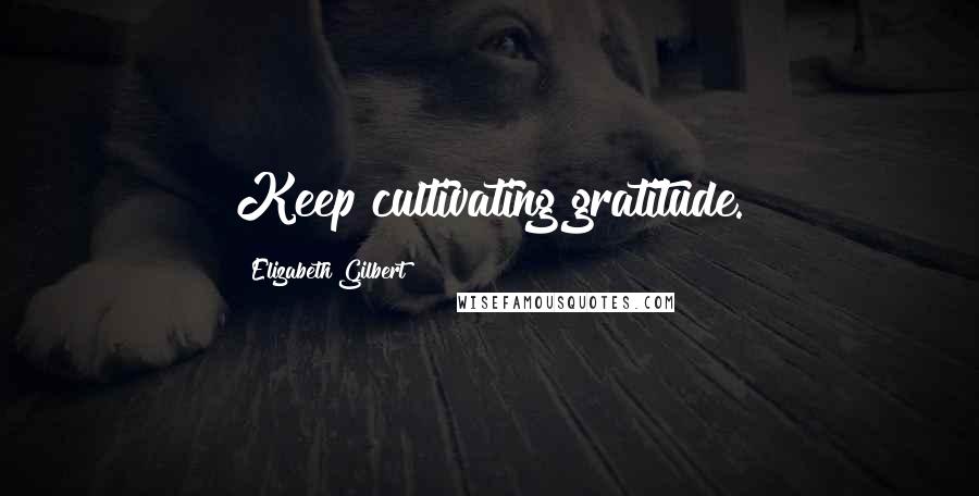 Elizabeth Gilbert Quotes: Keep cultivating gratitude.