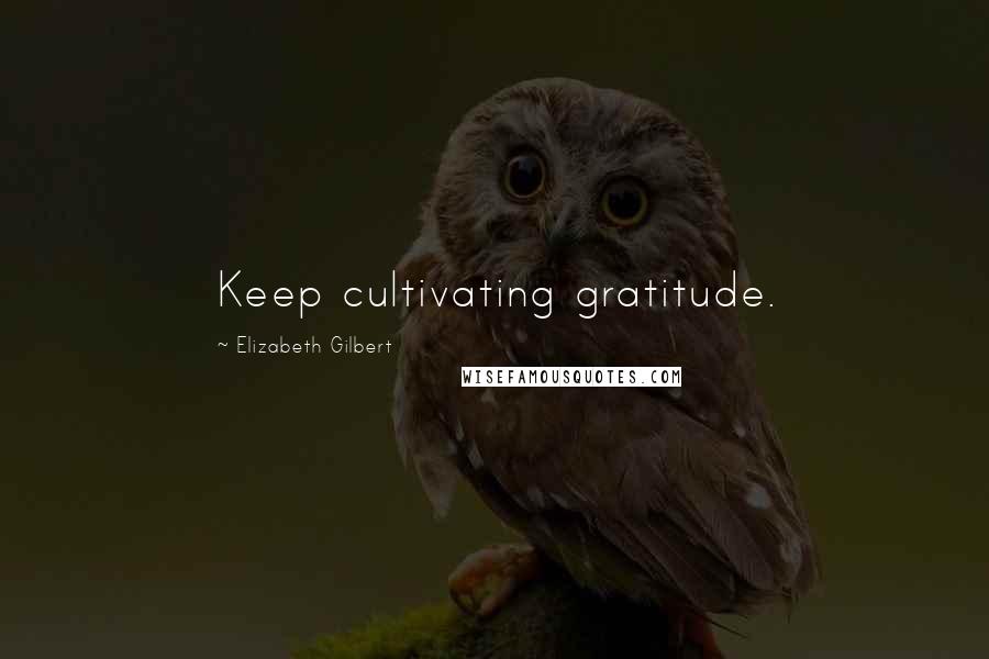 Elizabeth Gilbert Quotes: Keep cultivating gratitude.