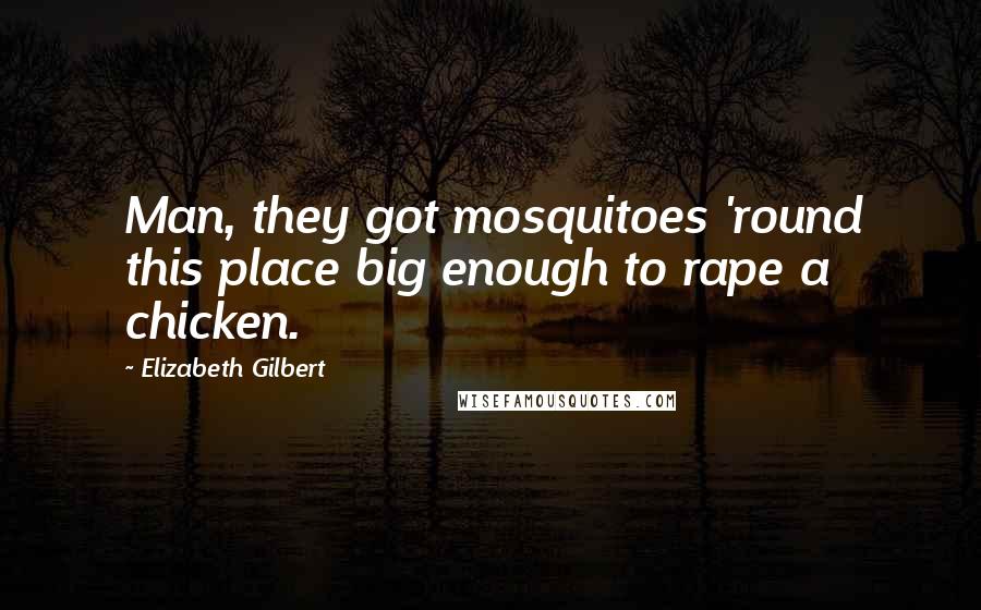 Elizabeth Gilbert Quotes: Man, they got mosquitoes 'round this place big enough to rape a chicken.