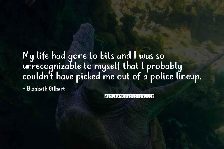 Elizabeth Gilbert Quotes: My life had gone to bits and I was so unrecognizable to myself that I probably couldn't have picked me out of a police lineup.