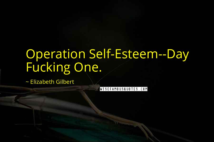 Elizabeth Gilbert Quotes: Operation Self-Esteem--Day Fucking One.