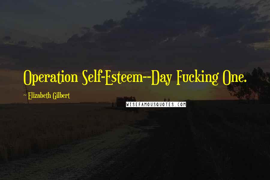 Elizabeth Gilbert Quotes: Operation Self-Esteem--Day Fucking One.