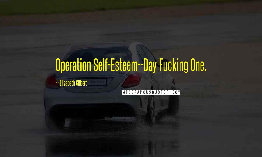 Elizabeth Gilbert Quotes: Operation Self-Esteem--Day Fucking One.