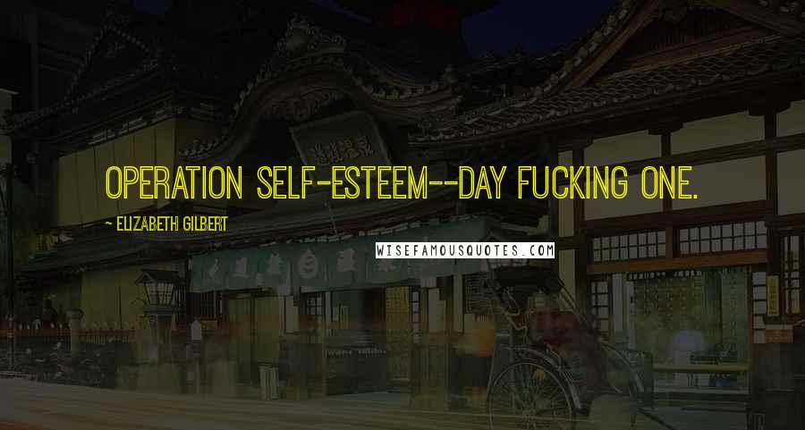 Elizabeth Gilbert Quotes: Operation Self-Esteem--Day Fucking One.