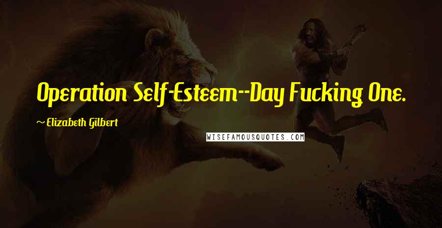 Elizabeth Gilbert Quotes: Operation Self-Esteem--Day Fucking One.