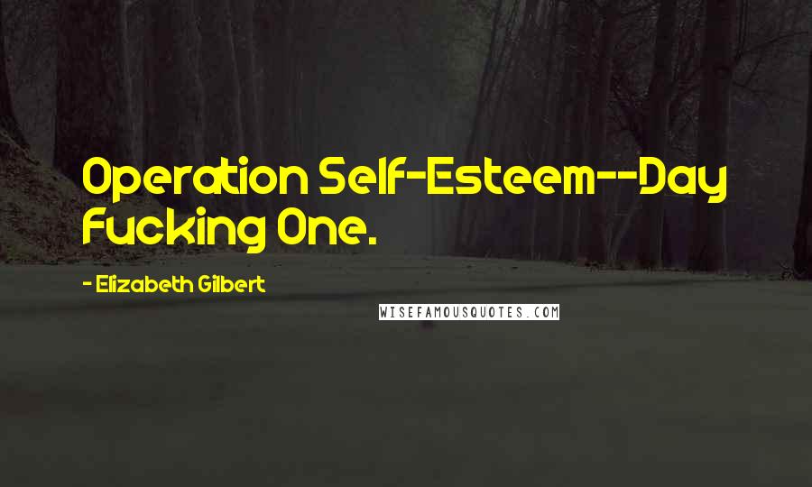 Elizabeth Gilbert Quotes: Operation Self-Esteem--Day Fucking One.