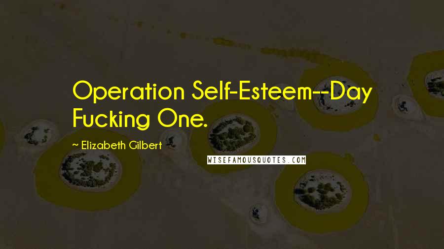 Elizabeth Gilbert Quotes: Operation Self-Esteem--Day Fucking One.