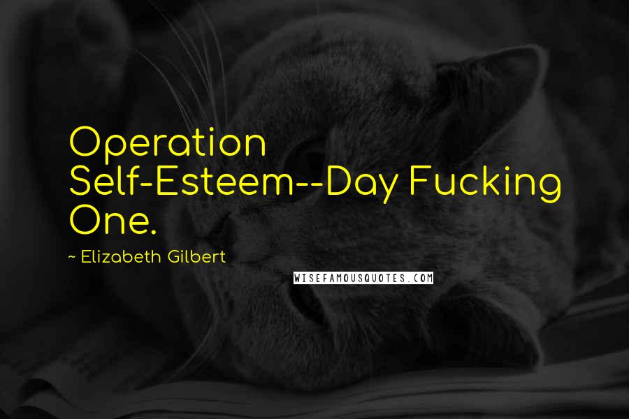 Elizabeth Gilbert Quotes: Operation Self-Esteem--Day Fucking One.