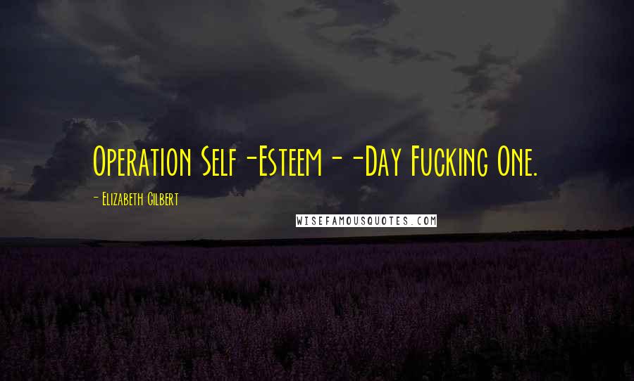 Elizabeth Gilbert Quotes: Operation Self-Esteem--Day Fucking One.