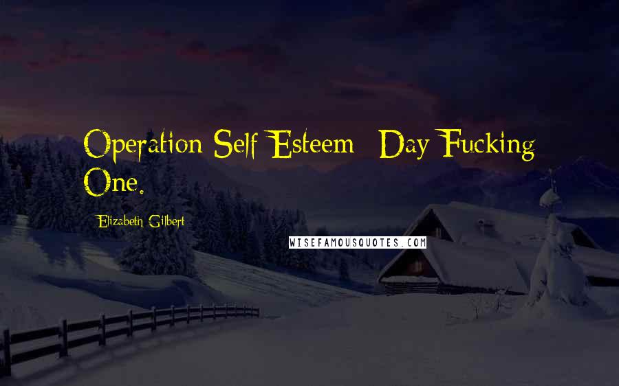 Elizabeth Gilbert Quotes: Operation Self-Esteem--Day Fucking One.