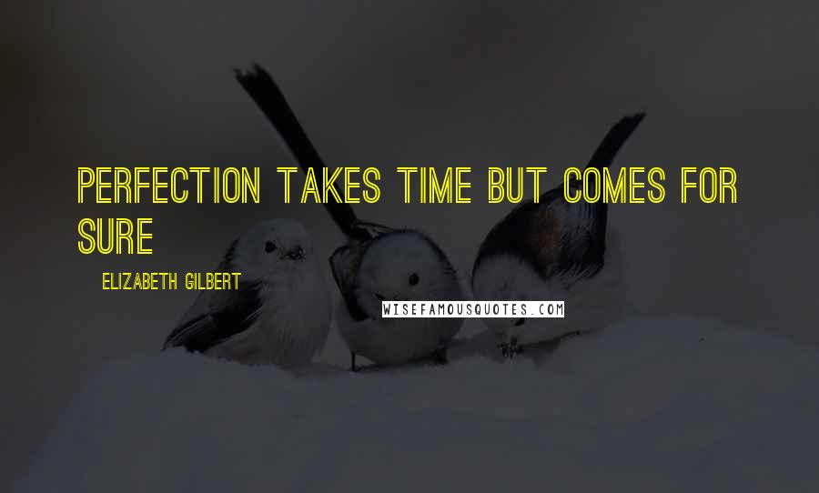 Elizabeth Gilbert Quotes: Perfection takes time but comes for sure
