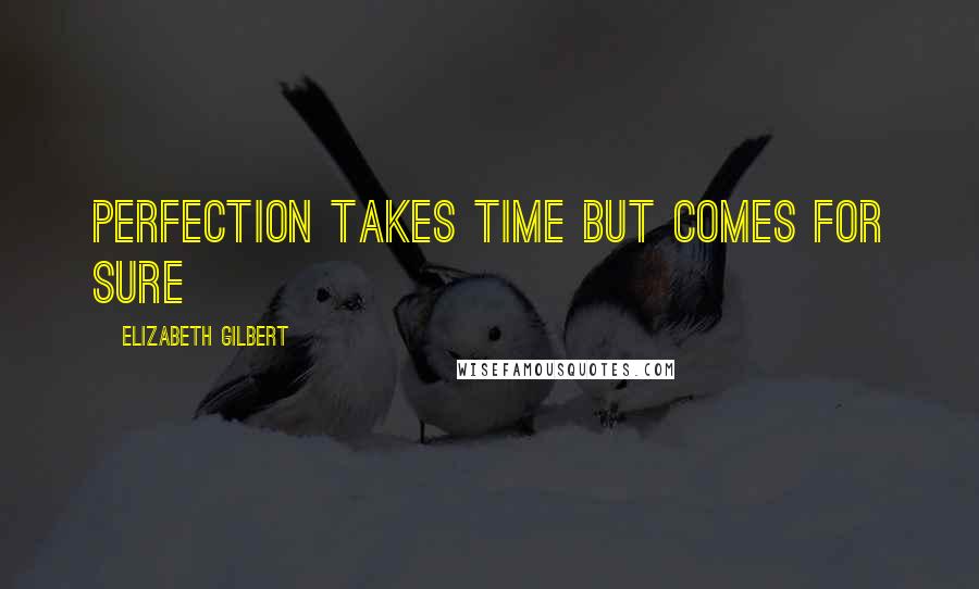 Elizabeth Gilbert Quotes: Perfection takes time but comes for sure