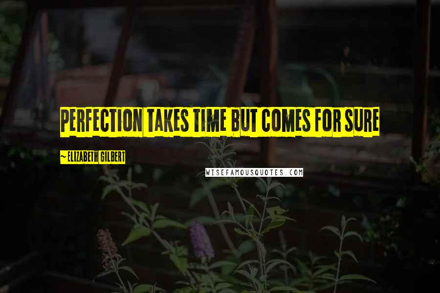 Elizabeth Gilbert Quotes: Perfection takes time but comes for sure