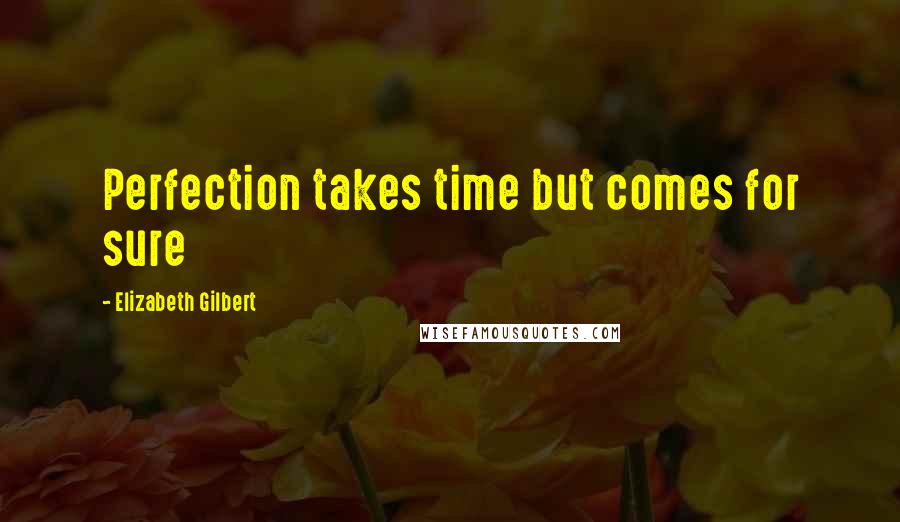 Elizabeth Gilbert Quotes: Perfection takes time but comes for sure