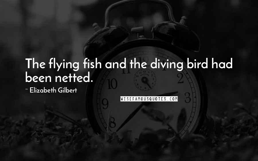 Elizabeth Gilbert Quotes: The flying fish and the diving bird had been netted.