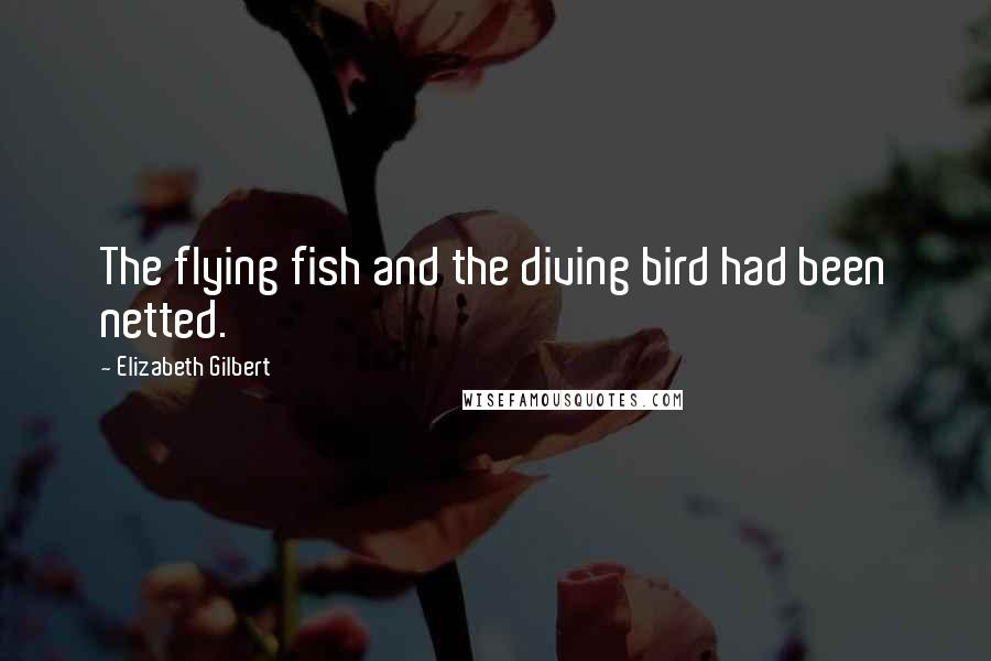 Elizabeth Gilbert Quotes: The flying fish and the diving bird had been netted.
