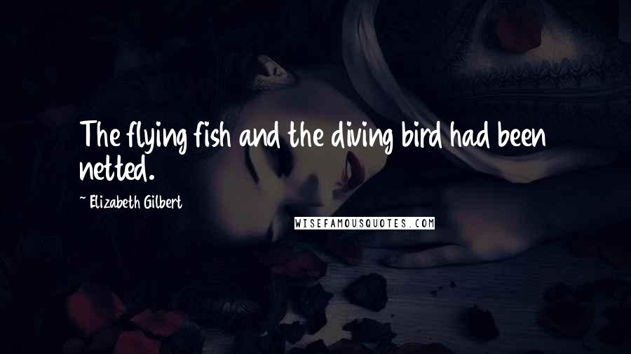 Elizabeth Gilbert Quotes: The flying fish and the diving bird had been netted.