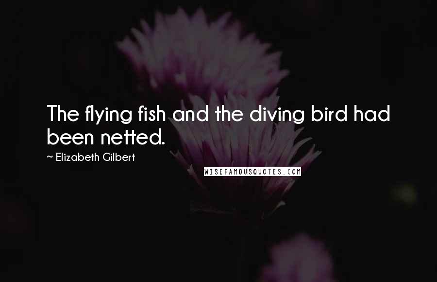 Elizabeth Gilbert Quotes: The flying fish and the diving bird had been netted.