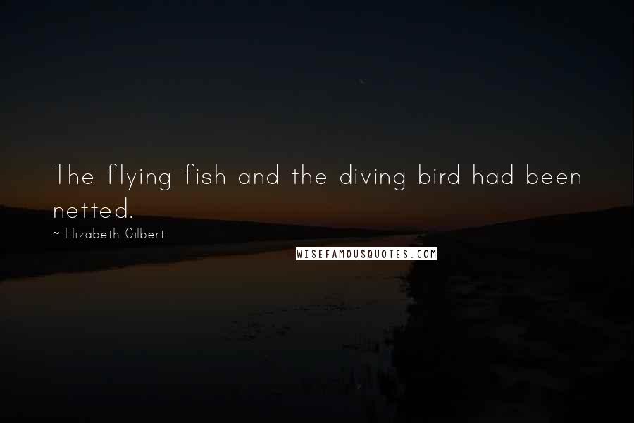 Elizabeth Gilbert Quotes: The flying fish and the diving bird had been netted.