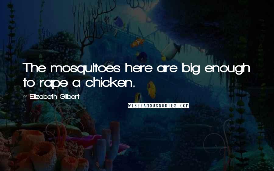 Elizabeth Gilbert Quotes: The mosquitoes here are big enough to rape a chicken.