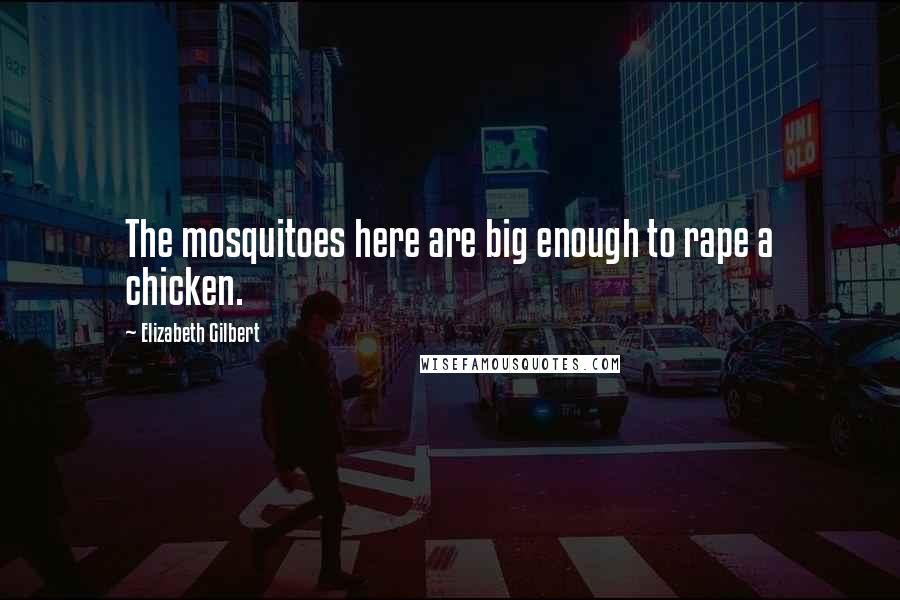 Elizabeth Gilbert Quotes: The mosquitoes here are big enough to rape a chicken.