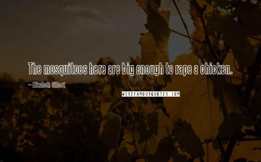 Elizabeth Gilbert Quotes: The mosquitoes here are big enough to rape a chicken.