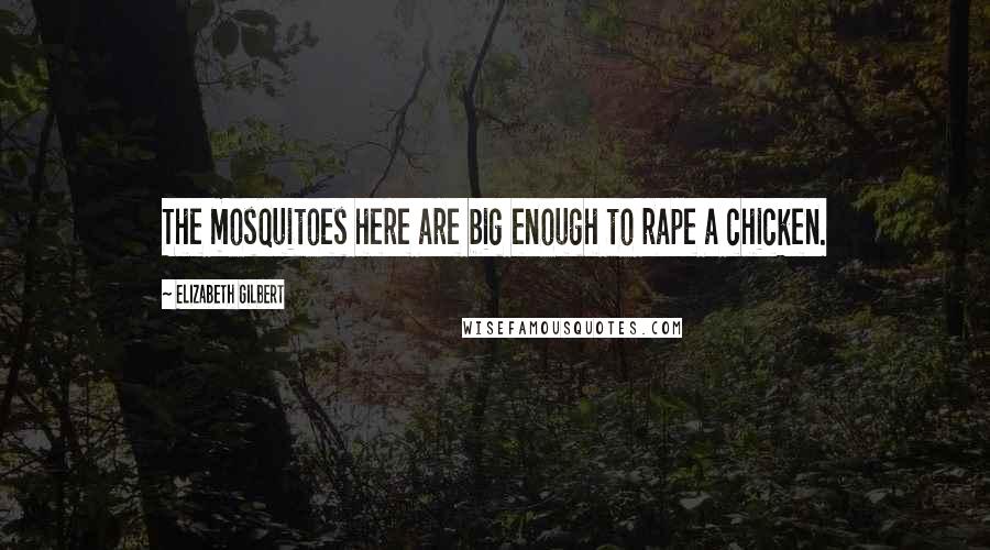 Elizabeth Gilbert Quotes: The mosquitoes here are big enough to rape a chicken.