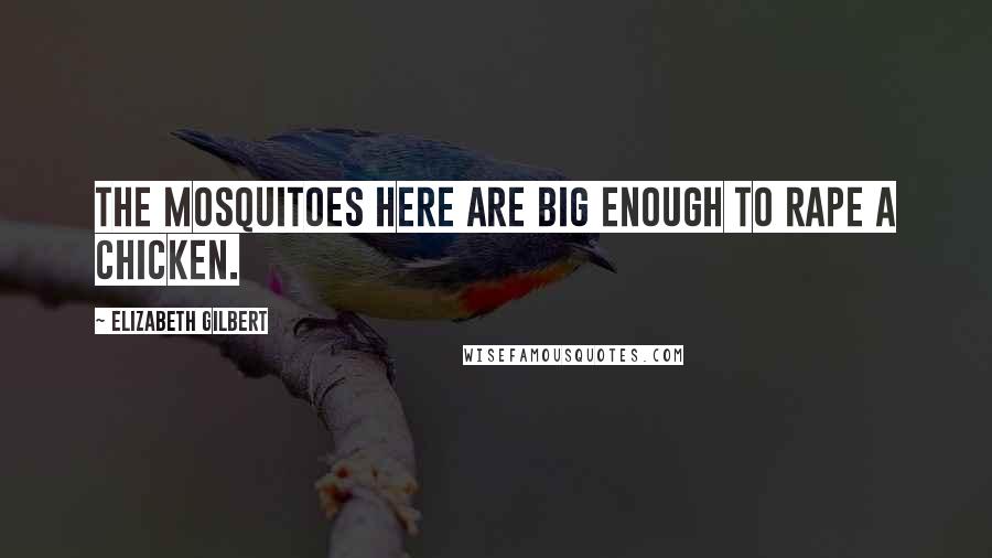 Elizabeth Gilbert Quotes: The mosquitoes here are big enough to rape a chicken.