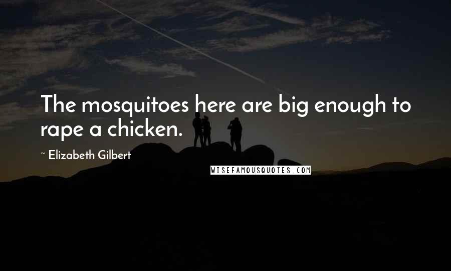 Elizabeth Gilbert Quotes: The mosquitoes here are big enough to rape a chicken.