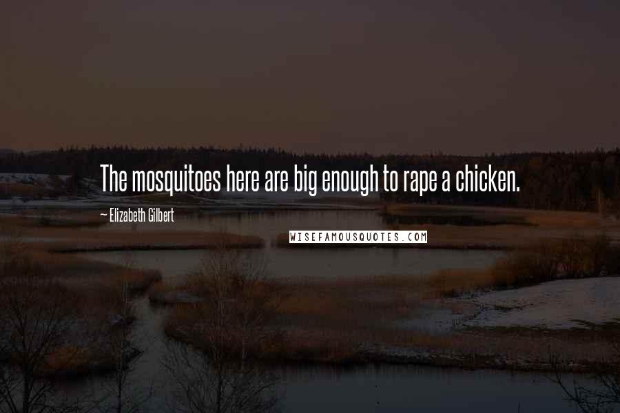 Elizabeth Gilbert Quotes: The mosquitoes here are big enough to rape a chicken.