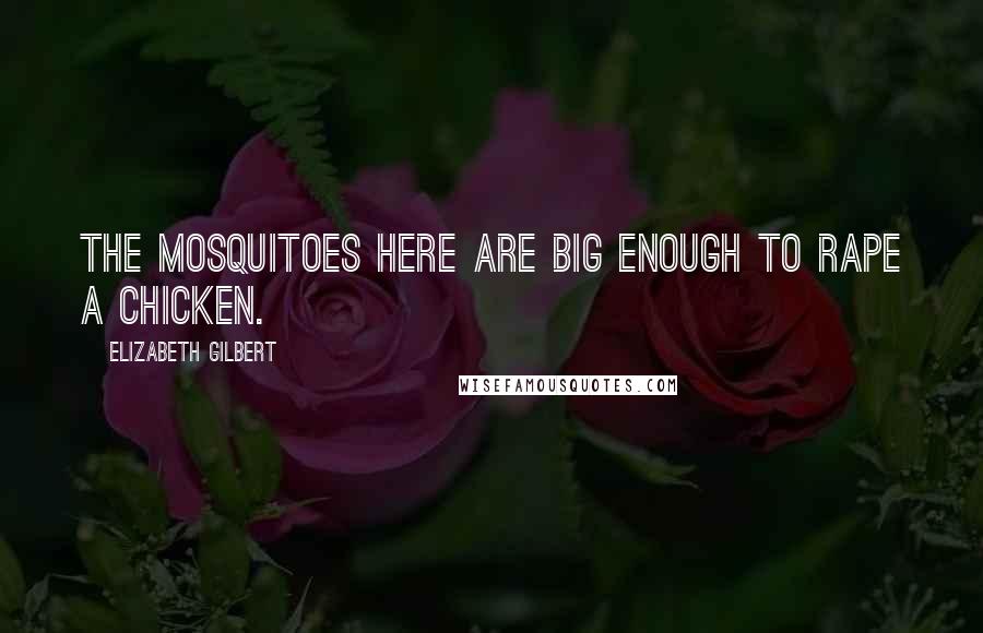 Elizabeth Gilbert Quotes: The mosquitoes here are big enough to rape a chicken.