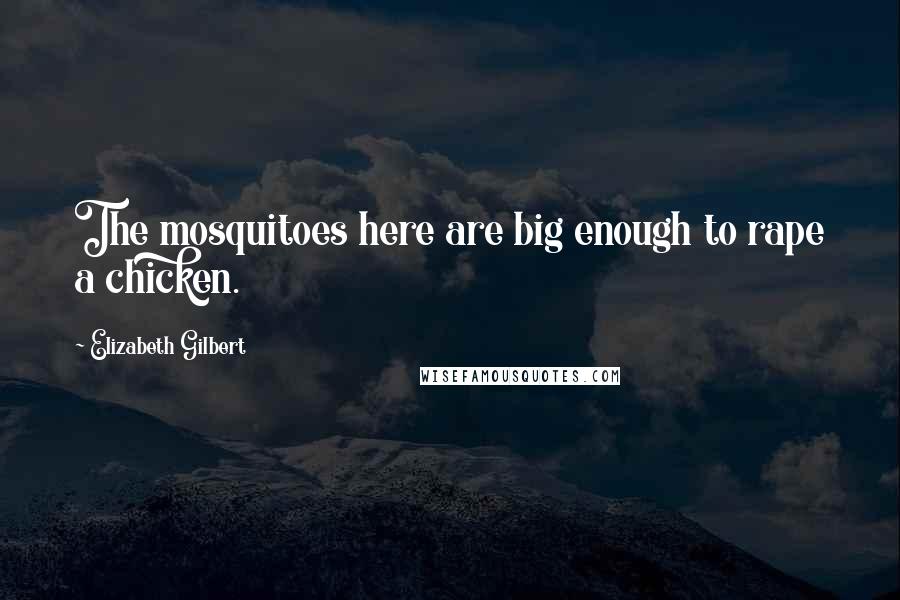 Elizabeth Gilbert Quotes: The mosquitoes here are big enough to rape a chicken.