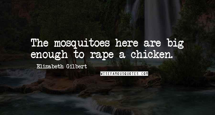 Elizabeth Gilbert Quotes: The mosquitoes here are big enough to rape a chicken.