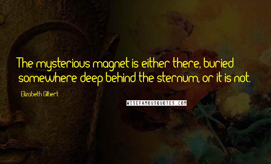 Elizabeth Gilbert Quotes: The mysterious magnet is either there, buried somewhere deep behind the sternum, or it is not.