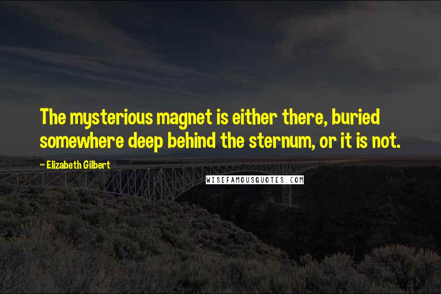 Elizabeth Gilbert Quotes: The mysterious magnet is either there, buried somewhere deep behind the sternum, or it is not.