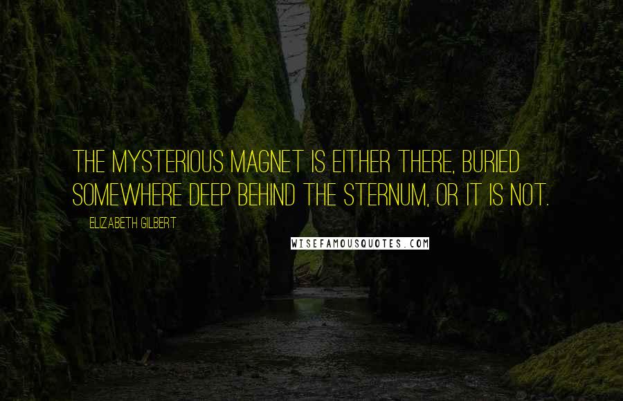 Elizabeth Gilbert Quotes: The mysterious magnet is either there, buried somewhere deep behind the sternum, or it is not.
