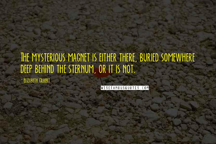 Elizabeth Gilbert Quotes: The mysterious magnet is either there, buried somewhere deep behind the sternum, or it is not.