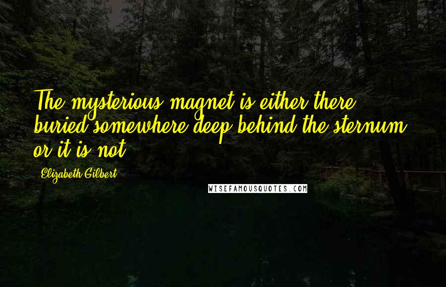 Elizabeth Gilbert Quotes: The mysterious magnet is either there, buried somewhere deep behind the sternum, or it is not.