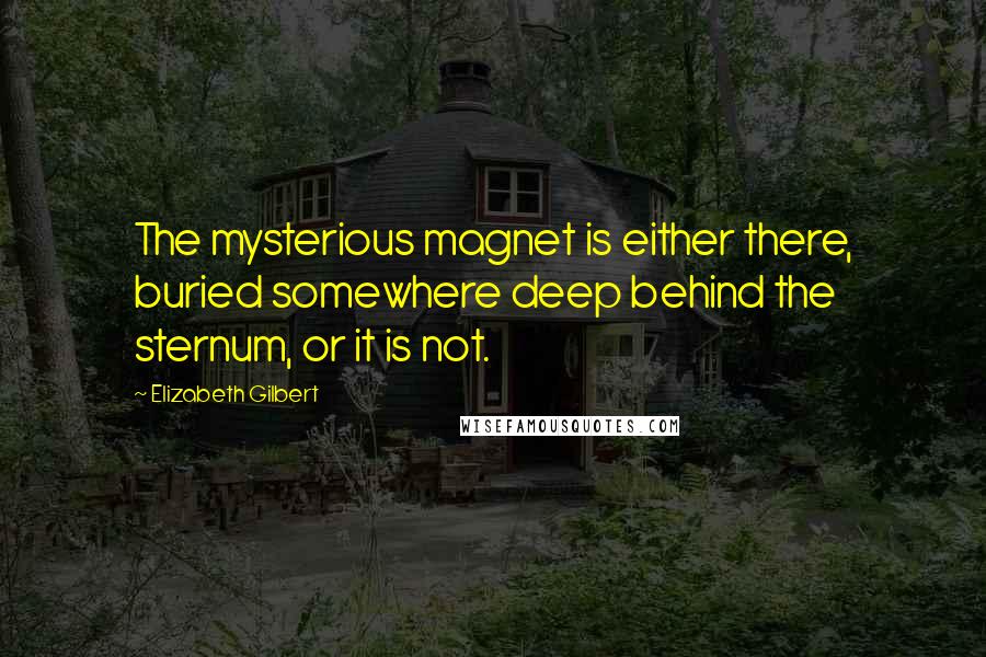 Elizabeth Gilbert Quotes: The mysterious magnet is either there, buried somewhere deep behind the sternum, or it is not.