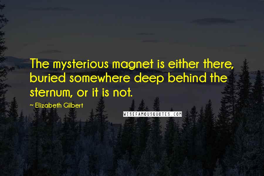 Elizabeth Gilbert Quotes: The mysterious magnet is either there, buried somewhere deep behind the sternum, or it is not.