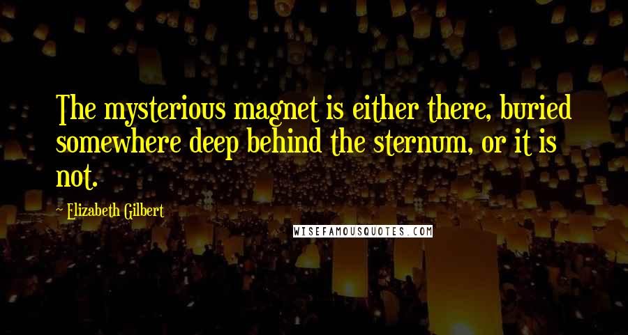 Elizabeth Gilbert Quotes: The mysterious magnet is either there, buried somewhere deep behind the sternum, or it is not.