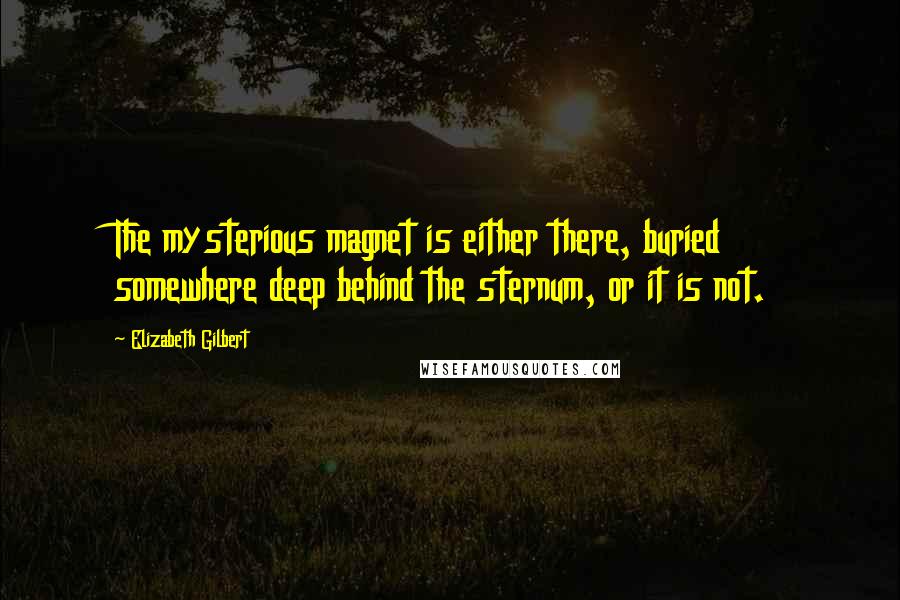 Elizabeth Gilbert Quotes: The mysterious magnet is either there, buried somewhere deep behind the sternum, or it is not.
