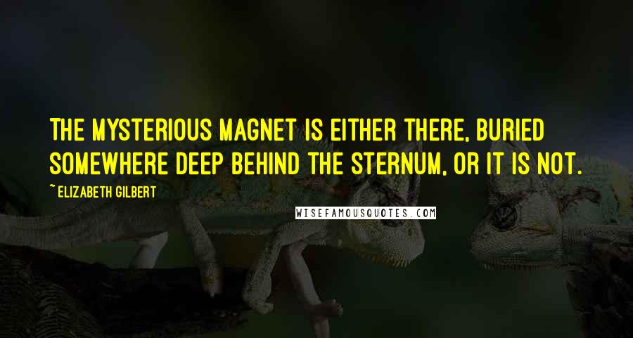 Elizabeth Gilbert Quotes: The mysterious magnet is either there, buried somewhere deep behind the sternum, or it is not.