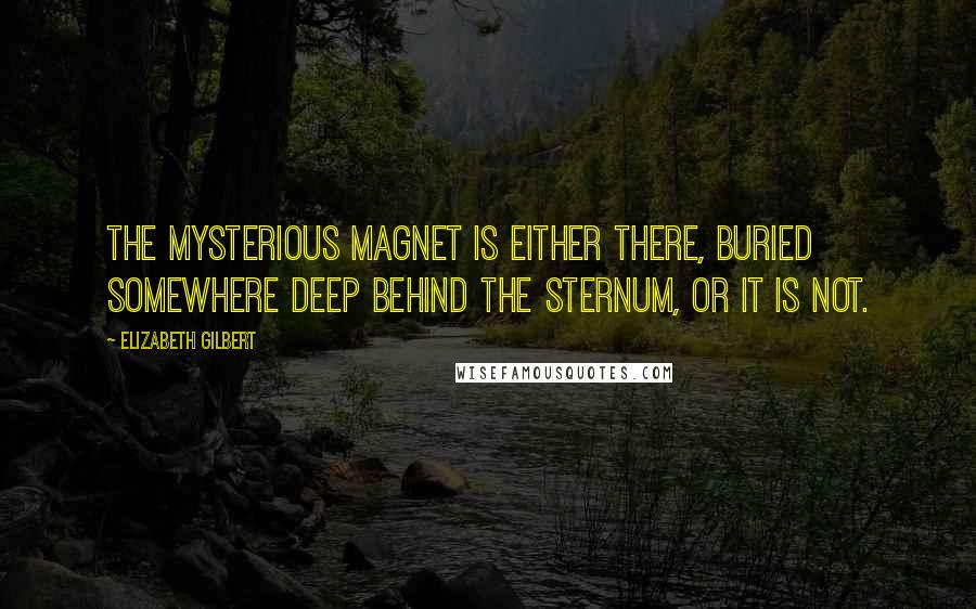 Elizabeth Gilbert Quotes: The mysterious magnet is either there, buried somewhere deep behind the sternum, or it is not.