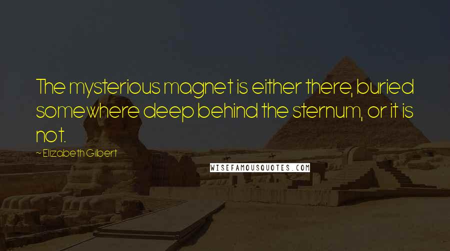 Elizabeth Gilbert Quotes: The mysterious magnet is either there, buried somewhere deep behind the sternum, or it is not.