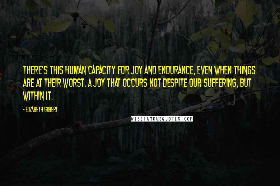 Elizabeth Gilbert Quotes: There's this human capacity for joy and endurance, even when things are at their worst. A joy that occurs not despite our suffering, but within it.