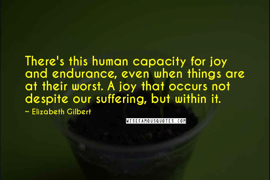 Elizabeth Gilbert Quotes: There's this human capacity for joy and endurance, even when things are at their worst. A joy that occurs not despite our suffering, but within it.