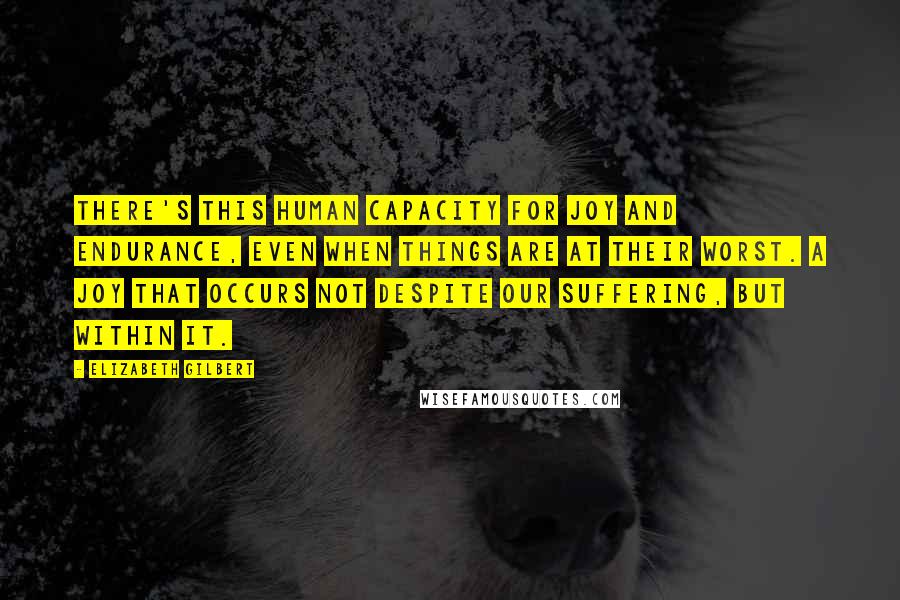 Elizabeth Gilbert Quotes: There's this human capacity for joy and endurance, even when things are at their worst. A joy that occurs not despite our suffering, but within it.