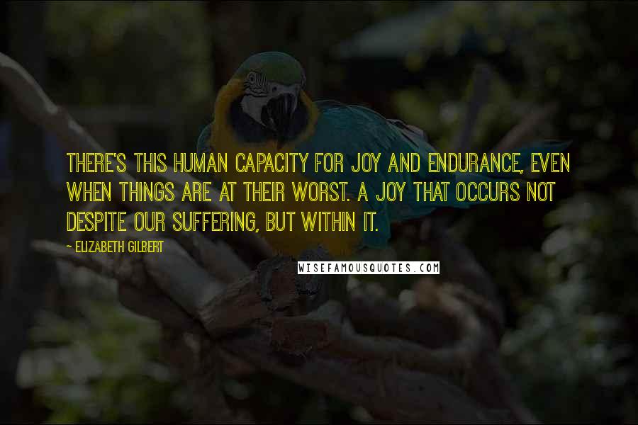 Elizabeth Gilbert Quotes: There's this human capacity for joy and endurance, even when things are at their worst. A joy that occurs not despite our suffering, but within it.