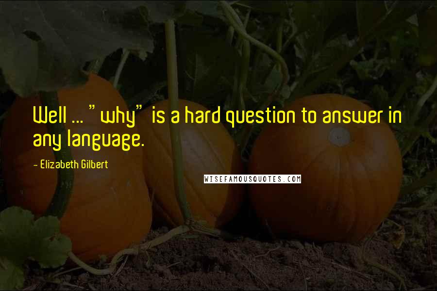 Elizabeth Gilbert Quotes: Well ... "why" is a hard question to answer in any language.